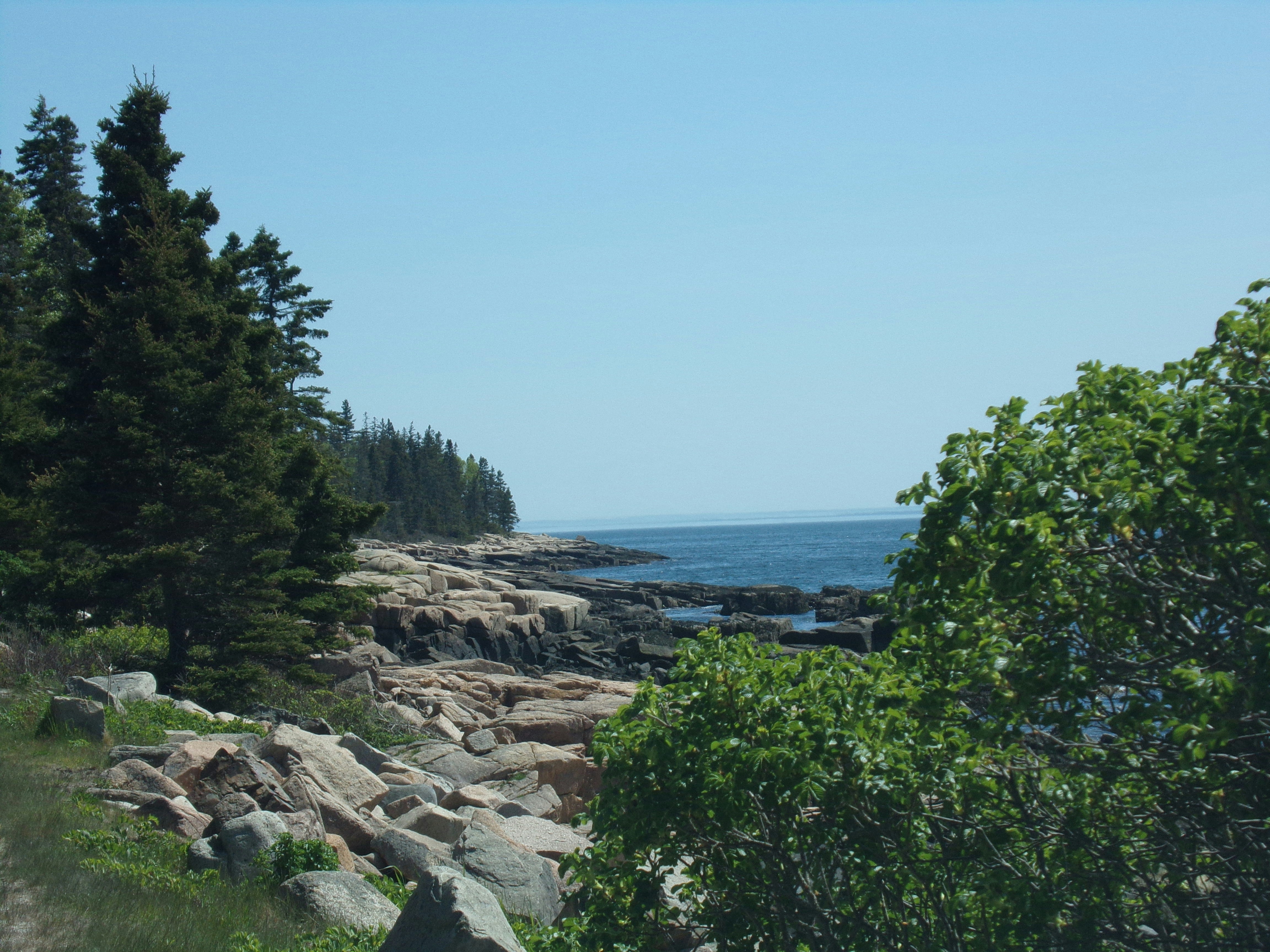 A coastal landscape with exposed rock, dense vegetation, and open ocean. A rocky shoreline extends into the distance beside a line of evergreen trees, with shrubs visible in the foreground.
