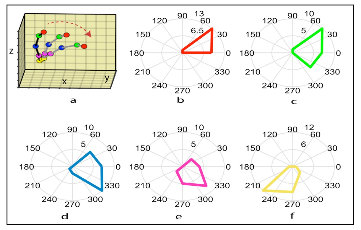 Polar plot of forward motion. (a) POI motions located on the spine in 3D space. (b) polar plot of motion direction for C7. (c) polar plot of motion direction for T4. (d) polar plot of motion direction for T7. (e) Polar plot of motion direction for L1. (f) polar plot of motion direction for S2.