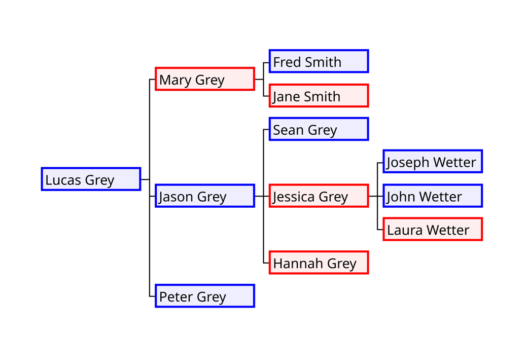 A four-generation family tree begins with Lucas Grey and his three children, Mary, Jason, and Peter Grey. Mary’s children are Fred and Jane Smith. Jason’s children are Sean, Jessica, and Hannah Grey. Jessica’s three children form the fourth generation: Joseph, John, and Laura Wetter.