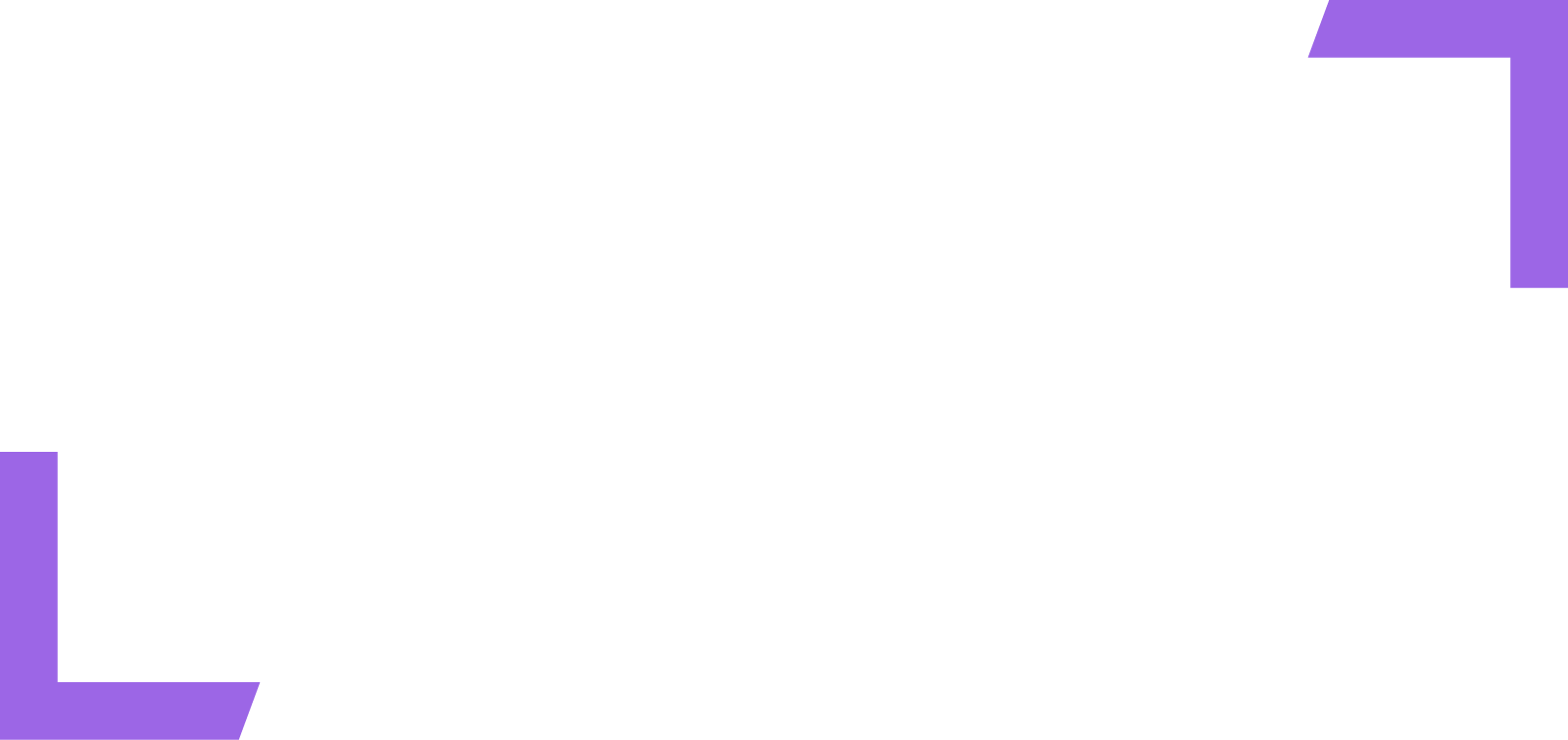 STM Logo